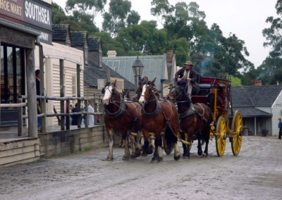 Horses at Sovereign hill
