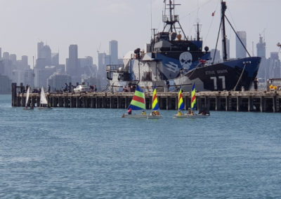 Steve Irvin at Williamstown Austrlalia