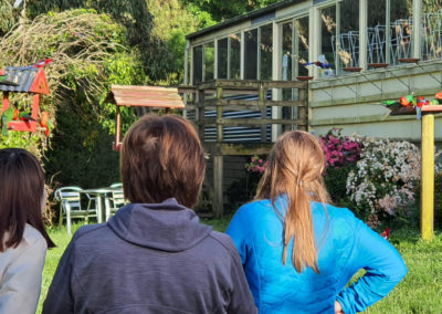 Watching the parrots at Laver's Hill