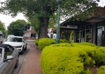 Healesville main road Yarra Valley