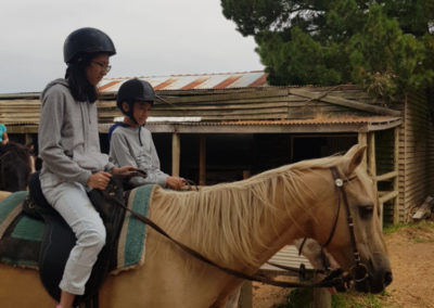 Horse riding at Mornington Peninsula
