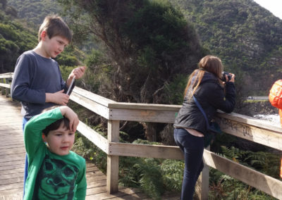Walkway to Sheoaks Falls Great Ocean Road