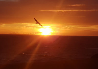Morning sunrise at Torquay