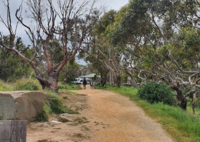 Walk to Teddy's lookout