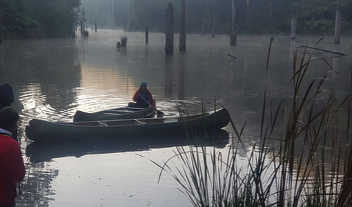 Lake Elizabeth looking ofr platypus