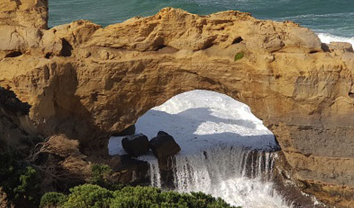 One Day great ocean road tour