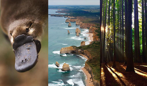 Platypus Two Day Great Ocean Road Tour