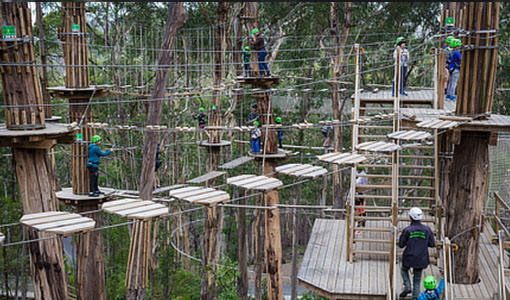 Surf Coast and Lorn Livewire Tour