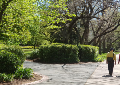 Bendigo gardens
