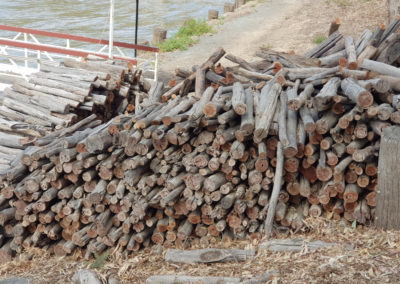 Firewood for paddle steamers at Echuca