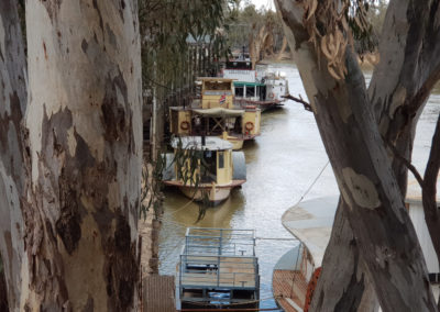 How many paddle boats can you see