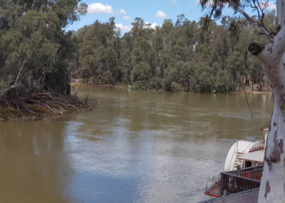 Bend in the Murray river