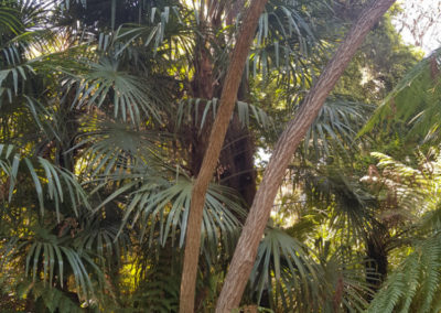 Bendigo gardens with Around And About