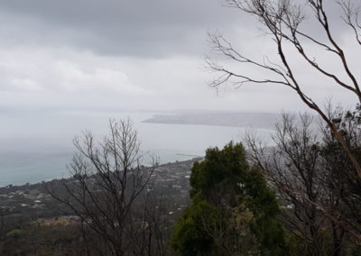 view form Arthur seat