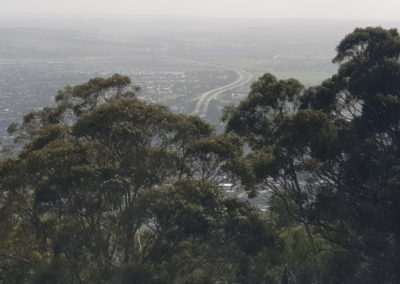 View fro Authur Seat