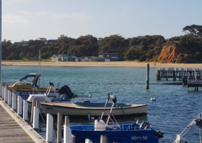 View from Sorrento with Around And About