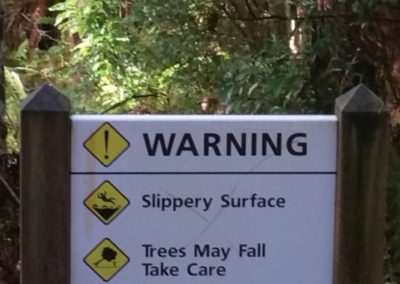 Safety Warnings