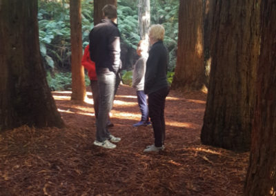 Admiring the view at the redwoods