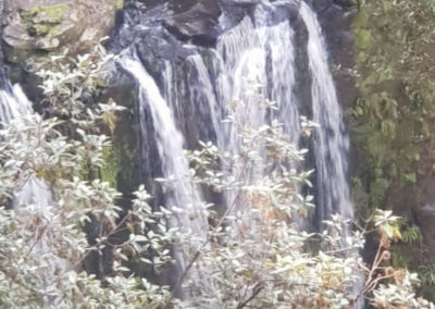 Hopetoun Falls from above