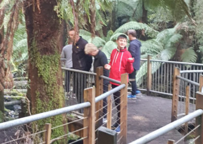 Walkway Hopetoun Falls