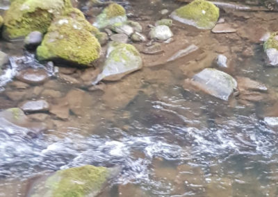 Hopetoun Falls stream