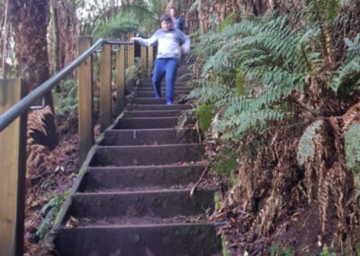 Steps down to Hopetoun Falls
