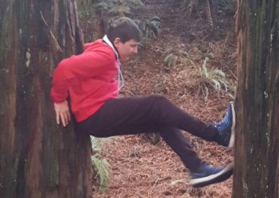 Climbing up Redwood trees