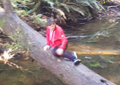 sitting on fallen Redwood tree