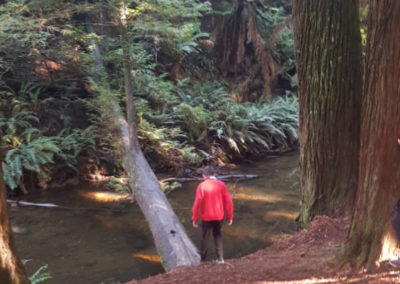 Crossing river with fallen tree