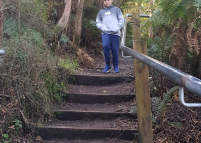 Steps down to Hopetoun Falls