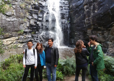 SheOak waterfall Ultimate 2 day Great Ocean road