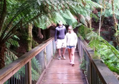 Mait Rest rain forrest walk