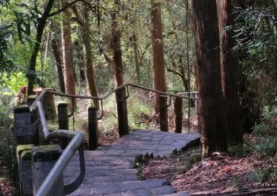 Steps to Erksine Falls