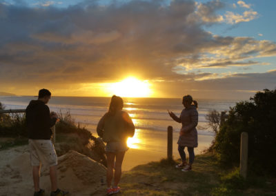 Sunries Apollo Bay Great Ocean Road