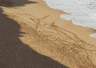 Wonderful beaches Great Ocean Road
