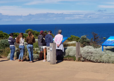 Around And About 12 apostles tour
