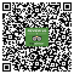 trip advisor with around and about