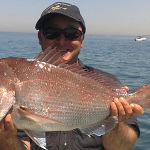 Bellarine Peninsula Queencliff fishing tour