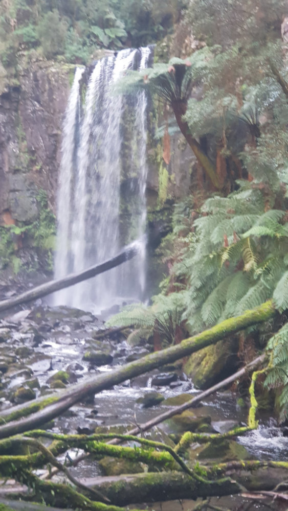 Erskine Falls near Lorne