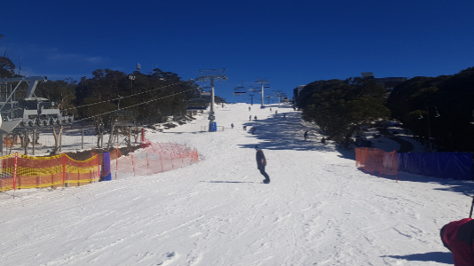 Mt Buller day tour