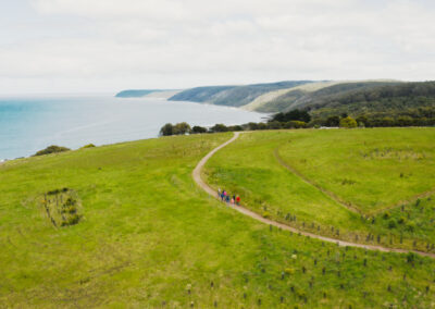 3 Day Sunset 12 Apostle and Otways Wildlife Wonders Tour