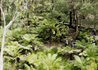 3 Day Sunset 12 Apostle and Otways Wildlife Wonders Tour