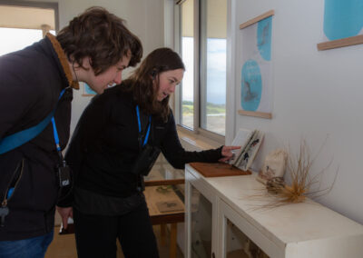 3 Day Sunset 12 Apostle and Otways Wildlife Wonders Tour