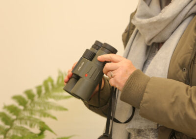 3 Day Sunset 12 Apostle and Otways Wildlife Wonders Tour