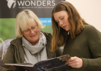 3 Day Sunset 12 Apostle and Otways Wildlife Wonders Tour