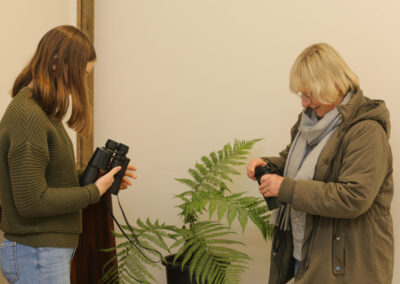 3 Day Sunset 12 Apostle and Otways Wildlife Wonders Tour