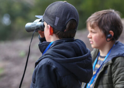 3 Day Sunset 12 Apostle and Otways Wildlife Wonders Tour