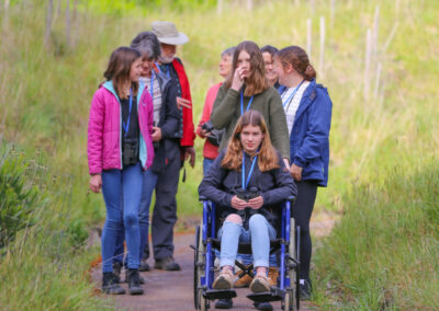 3 Day Sunset 12 Apostle and Otways Wildlife Wonders Tour