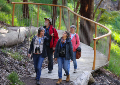 3 Day Sunset 12 Apostle and Otways Wildlife Wonders Tour