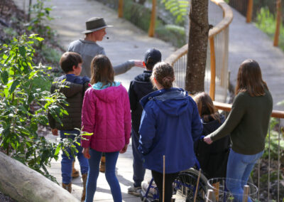 3 Day Sunset 12 Apostle and Otways Wildlife Wonders Tour